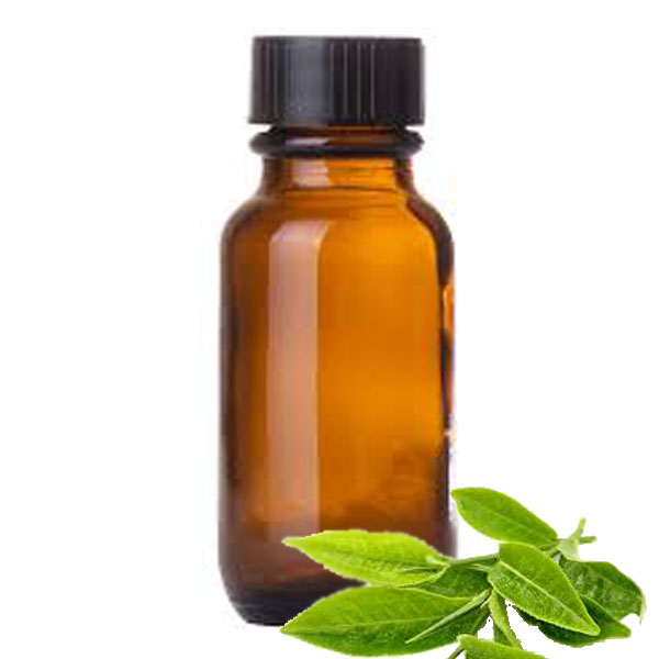 Andes Organics Pure Green Tea Oil, 100 ml
