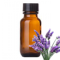 Andes Organics Pure Lavender Oil, 100 ml